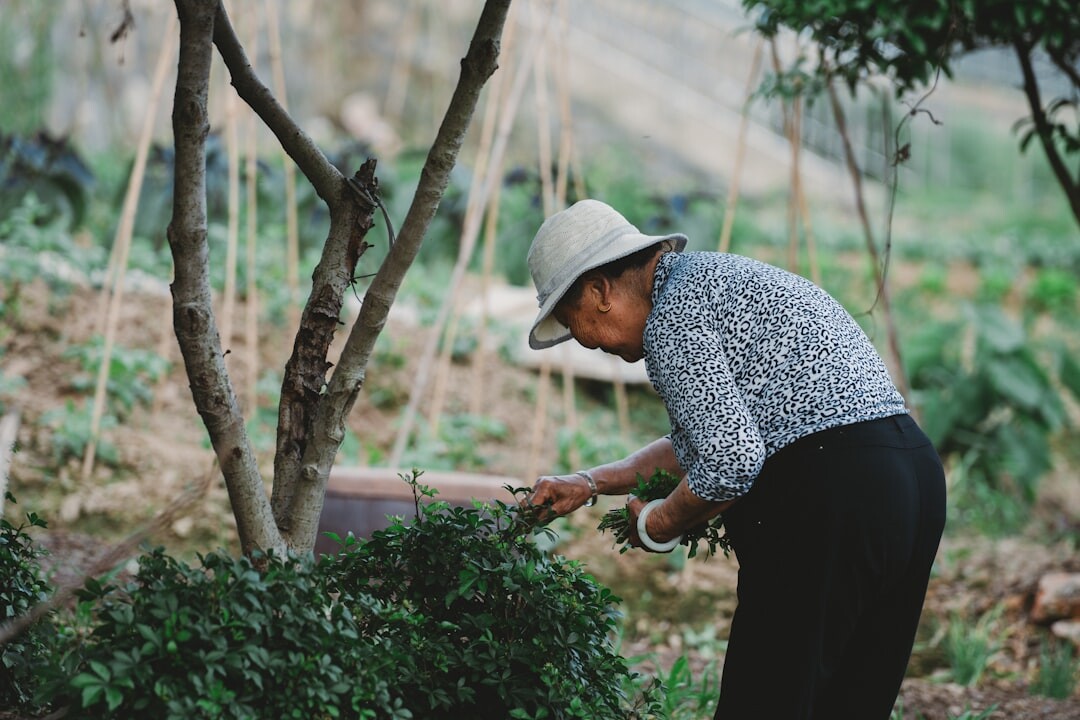 seniors gardening together
