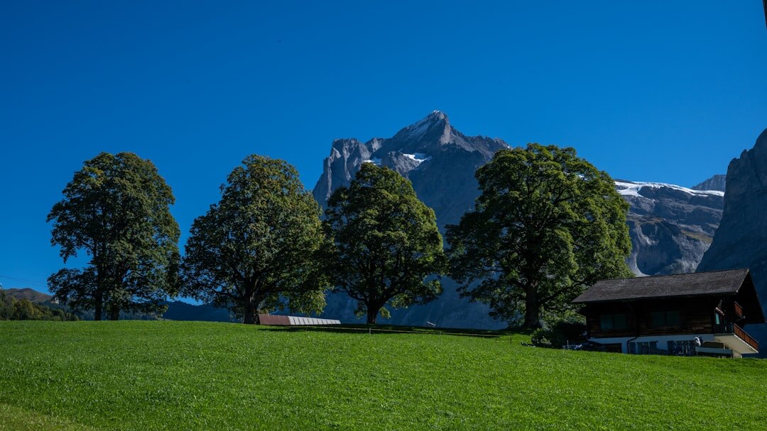 Group of seniors on a nature walk in the Swiss countryside